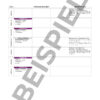 FTP Boost - Level 1 - Watt – Bild 2
